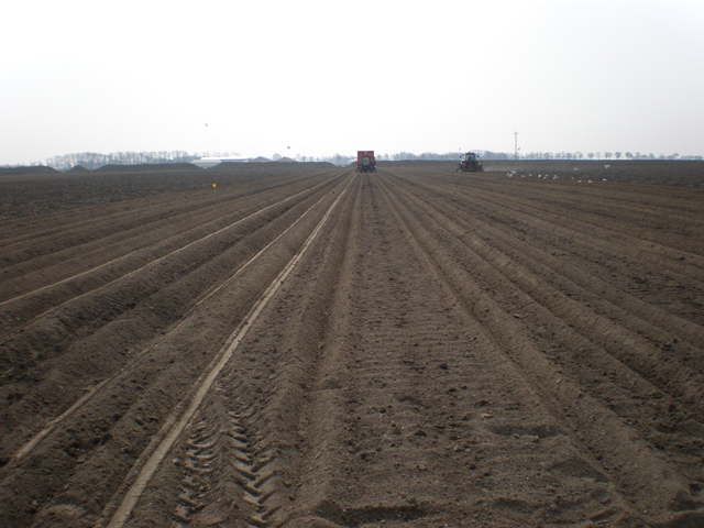 Aardappelen poten bij Vers uit de NOP