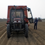 Vers uit de NOP poot eerste aardappelen